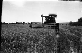 Máquina Agrícola - Colheitadeira