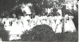 Debutantes - Coquetel