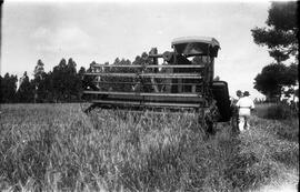 Máquina Agrícola - Colheitadeira