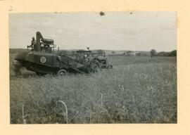 Posto Agropecuário de Ijuí - Colheita de Trigo